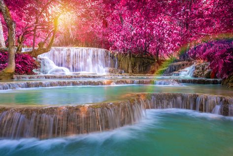 waterfalls wallpaper, landscape photography of waterfalls #waterfall #trees #fall #Laos #rainbows long exposure #2K #wallpaper #hdwallpaper #desktop Water Falls Beautiful Waterfalls, Waterfall Scenery, Waterfall Wallpaper, Forest Waterfall, Waterfall Landscape, Waterfall Wall, Cascade Waterfall, Water Falls, Photography Series