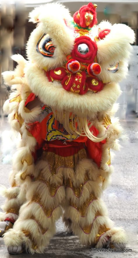 Chinese Lion Dance Costume, Dragon Dance Costume, Lion Dance Head, Cny Dragon, Lion Costumes, Dancer Tattoo, Chinese Banquet, Chinese Arts And Crafts, Chinese Lion Dance