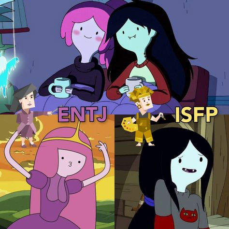 Isfp X Entj, Entj Isfp, Entj Personality, Type Personality, Mbti Memes, Myers–briggs Type Indicator, Myers Briggs Type, 16 Personalities, Mbti Personality