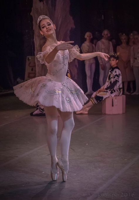 The Sugarplum Fairy, Sugarplum Fairy Ballet, Sugarplum Fairy Costume, Sugarplum Fairy Aesthetic, Sugar Plum Fairy Costume, World Ballet Day, Ballerina En Pointe, Vaganova Ballet Academy, Sugarplum Fairy