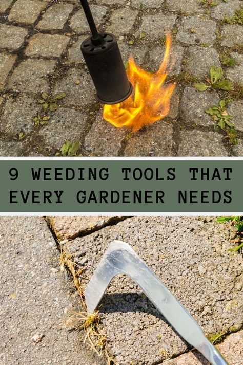 Garden Weeding Tools, Farm Landscaping, Mailbox Landscaping, Types Of Mulch, Gardening Tool Kit, Best Garden Tools, Pulling Weeds, Baseball Room, Landscaping Tools