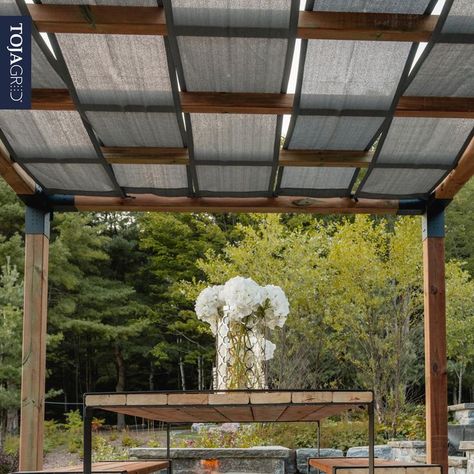 Pergola With Shade Cloth, Outdoor Shade Ideas Cheap, Pergola Shade Ideas, Contemporary Pergola, Ombra Pergola, Modern Pergola Designs, Diy Pergola Kits, Pergola Shade Cover, Rustic Pergola