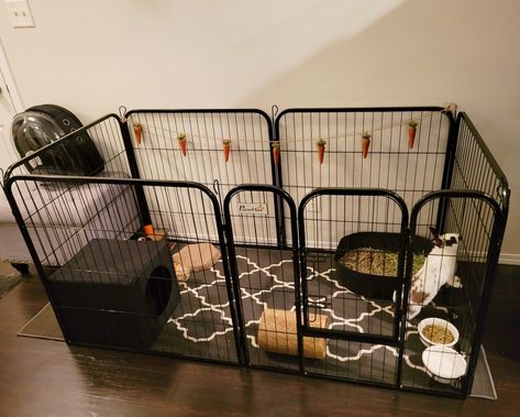 Bunny Cage Ideas Indoor Small, Bunny Playpen Ideas, Rabbit Playpen Indoor, Outside Bunny Cages, Cute Bunny Set Up, Rabbit Playpen Ideas, Bunny Set Up, Indoor Rabbit Cage Ideas, Pet Bunny Set Up