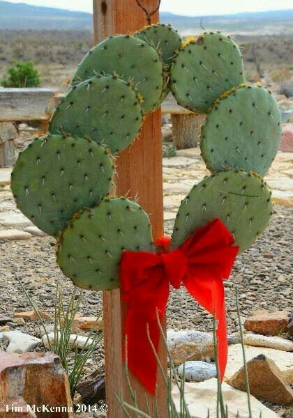 Prickly pear wreath Cactus Wreath, Natal Country, Mexican Christmas Decorations, Texas Christmas, Mexican Christmas, Front Porch Christmas, Cowboy Christmas, Western Christmas, Country Christmas