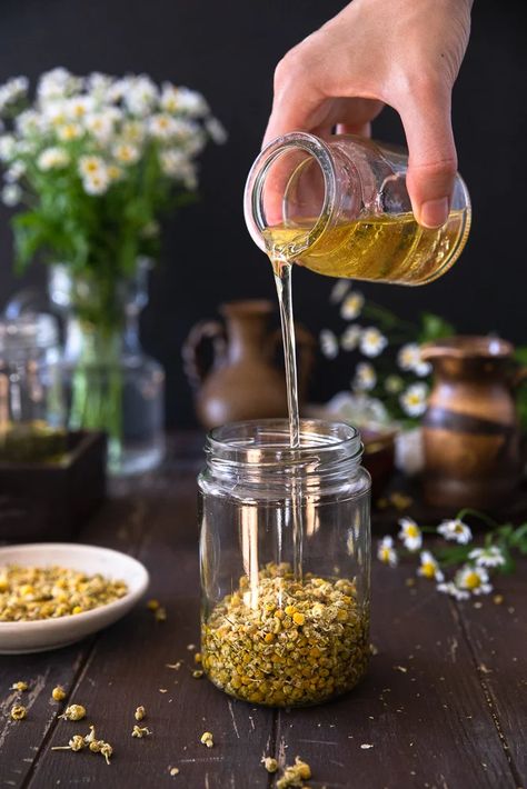 How To Make Chamomile Oil, Infused Body Oil Recipe, Diy Body Oil Recipe, Camomile Oil, Herbalist Aesthetic, Chamomile Recipes, Diy Body Oil, Frosted Candle Jar, Body Oil Recipe