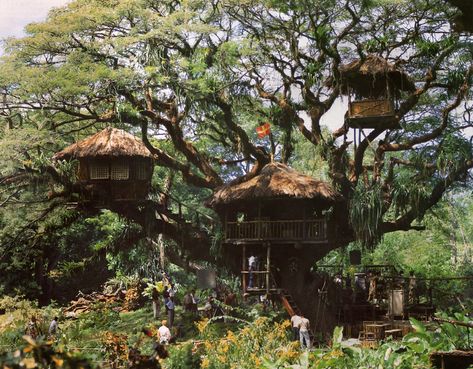 Swiss Family Robinson Treehouse, Swiss Family Robinson, Master Board, Cool Tree Houses, Shel Silverstein, Banyan Tree, Tree Houses, Walt Disney Pictures, Movie Sets