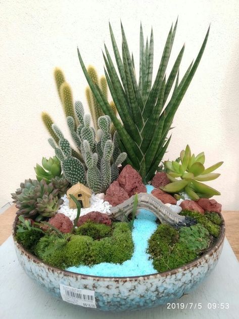 Current Cactus Ideas For Garden Design Miniature Garden Ideas, Mini Jardin Zen, Bowl Centerpieces, Cactus Ideas, Glass Bowl Centerpieces, Mini Cactus Garden, Miniature Zen Garden, Fairy Garden Pots, Diy Fairy Garden