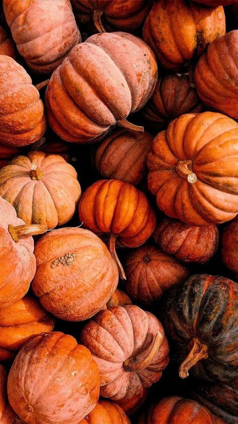 Vintage Fall Backgrounds, Pumpkin Wallpaper Aesthetic, Fall Aesthetic Orange, Fall Pumpkin Wallpaper, October Aesthetic Wallpaper, Fall Asthetic Photos, Autumn Lockscreen, Pumpkins Aesthetic, Pumpkin Aesthetic