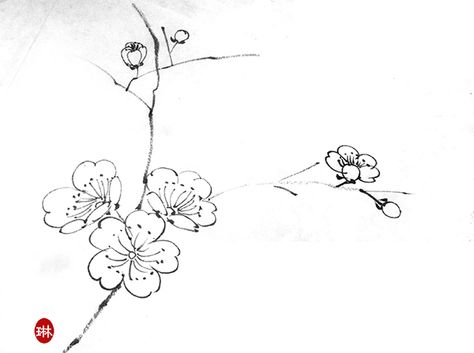 Plum sketch Plum Flower Drawing, Plum Flower Tattoo, Plum Blossom Drawing, Bamboo Drawing, Painting Practice, Mouth Drawing, White Plum, Plum Flowers, Blossom Tattoo