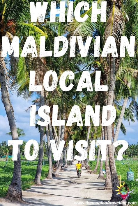 Planning a trip to the Maldives: Which Maldivian local islands to visit? | The Magic of Traveling Local Island Maldives, Maldives Local Island, Maldives Tourism, Iceland Resorts, Iceland Hiking, Travel Maldives, Islands To Visit, Beach Suite, Maldives Beach