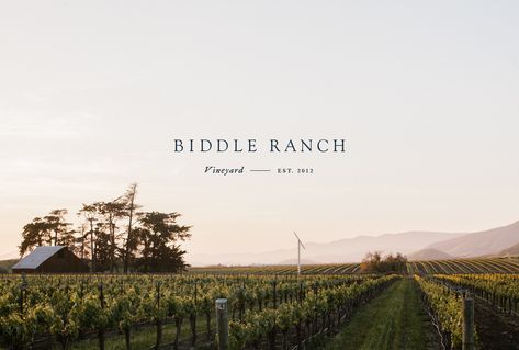 Biddle Ranch Vineyard on Behance Vineyard Branding, Barn Illustration, Wine Label Design, Guest Houses, Brand Refresh, San Luis Obispo, Wine Label, A Logo, Label Design