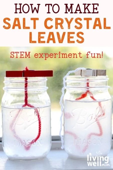 Salt Crystal Leaves Experiment, Salt Crystal Leaves, Kindergarten Stem Activities, Fall Science Activities, Fall Stem Activities, Stem Activity For Kids, Christmas Knomes, Stem Activities Kindergarten, Stem Activities Preschool