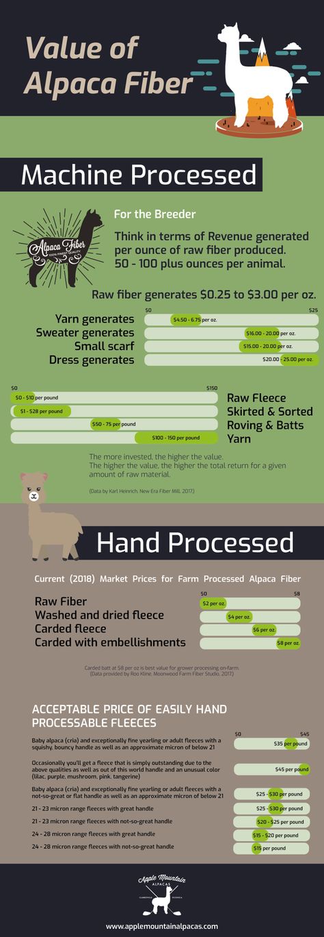 Learn more: Value of Alpaca Fiber Infographic. Experience the Georgia Alpaca lifestyle! Alpaca Facts, Alpaca My Bags, Raising Farm Animals, Farm Plans, Alpaca Farm, Future Farms, Spinning Wool, Hobby Farm, Llama Alpaca