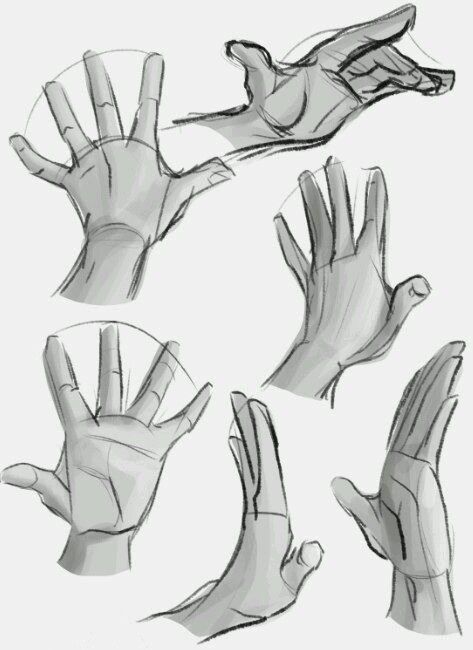 Hands Study, Draw Hands, Drawing Hands, Hand Drawing Reference, Anatomy Sketches, Hand Reference, Anatomy Drawing, Poses References, Hand Sketch