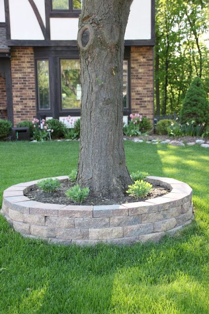 my best friend craig: RETAINING WALL AROUND A TREE Garden Ideas Around A Tree, Bench Around Trees, Landscaping Around Trees, Tree Planters, Landscaping Retaining Walls, Front Yard Design, Home Landscaping, Front Yard Garden, Front Yard Landscaping Design