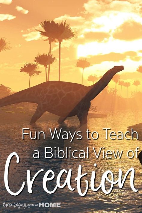 Creation Bible Lessons, Creation Activities, 7 Days Of Creation, Creation Bible, Creation Science, Biblical Worldview, Bible Study For Kids, Bible Crafts For Kids, Homeschool Inspiration