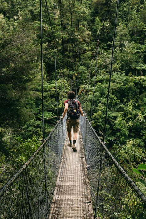 Men Travel Photography, Masculine Portrait, Hiking Rainforest, Man In Forest, Ben Zank, Forest Explorer, Man Traveling, Trekking Photography, Hike Photography