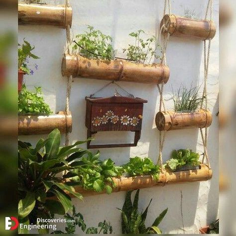 Creative Planters, Best Office Plants, Bamboo Screen, Bamboo Diy, Bamboo Screening, Creative Planter, Bamboo Planter, Bamboo Decor, Plant Pot Decoration