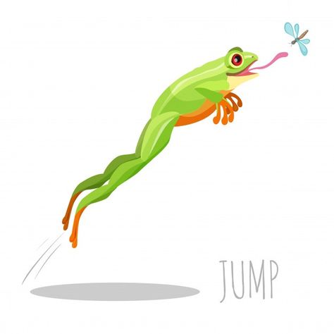 Frog Hopping Drawing, Frog Eating Fly Drawing, Frog Jumping Illustration, Flying Frog Drawing, Frog Illustration Character, Frog Jumping Drawing, Frog Character Design, Frog Posters, Frog Jumping