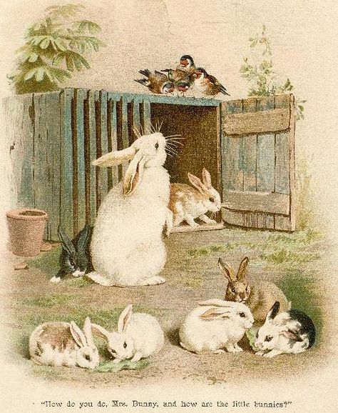 bumble button: Darling Victorian Rabbits and Bunnies From Children's Books and Antique Postcards Vintage Easter Cards, Bunny Images, Rabbit Illustration, Bunny Pictures, Vintage Rabbit, Vintage Bunny, Rabbit Art, Bunny Art, Antique Postcard