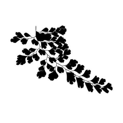 Fern Silhouette, Jungle Plants, Fern Leaf, Silhouette Images, Pattern Sewing, Cricut Files, Blouse Pattern Sewing, Black Silhouette, Flower Svg