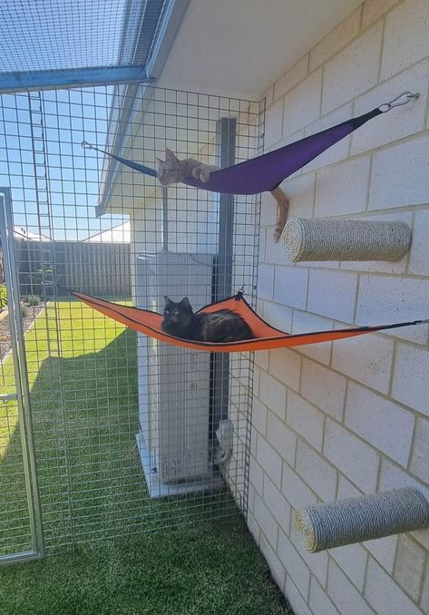 Outdoor Cat Hammock Diy, Outdoor Cat Hammock, Cat Area In Garage, Catio Aesthetic, Cattery Ideas Cat Room Outdoor, Small Catio Ideas Cat, Kitty Corner Ideas, Cat Condo Outdoor, Catio Ideas Cat Diy