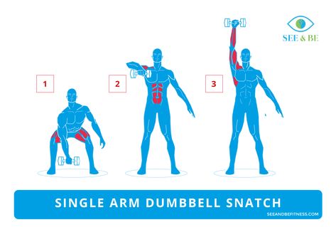 Exercise of the Day: Single Arm Dumbbell Snatch — Steemit One Dumbbell Arm Workout, Dumbell Whole Body Workout, Whole Body Workout Dumbell, Single Dumbbell Exercises, Dumbbell Snatch, Rear Delt Workout Dumbell, Ripped Workout, Dumbbell Shoulder, Dumbbell Arm Workout