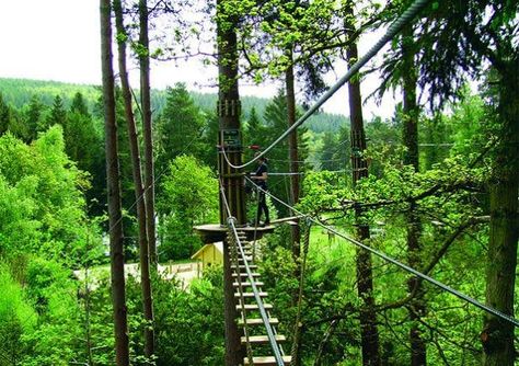 Go Ape stag do image courtesy Pinterest | Confetti.co.uk Aberfoyle Scotland, Forest Activities, Zip Wire, Nature Living, Go Ape, Comfortable Camping, Perfect Days, Forest Of Dean, Sherwood Forest