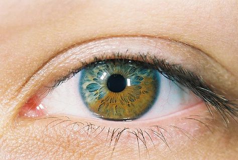 Eye | Iris | Pupil | 目 | œil | глаз | Occhio | Ojo | Color | Texture | Pattern | Macro | Green and Brown by lindes, via Flickr Heterochromia Eyes, Eyes Health, Eyes Quotes, Multi Colored Eyes, Iris Eye, Eye Drawings, Rare Eyes, Realistic Eye Drawing, Photo Macro