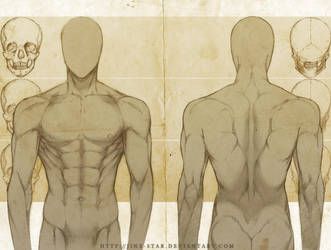 +MALE ANATOMY: FRONT + BACK STUDY+ by jinx-star Back Drawing, Male Figure Drawing, Male Anatomy, Man Anatomy, Human Figure Drawing, Anatomy Sketches, Body Reference Drawing, Anatomy Drawing, Figure Drawing Reference