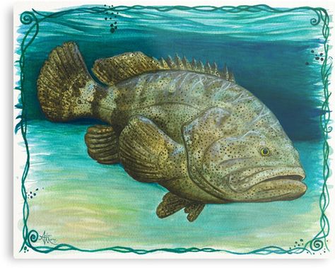 Grouper Fish Drawing, Grouper Drawing, Painted Posts, Goliath Grouper, Endangered Species Art, Grouper Fish, Monster Fish, Big Monster, Painting Fish