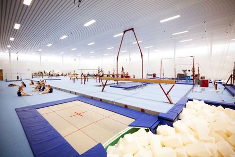 NL Architects [Gym Hall TNW] Avengers Tower Visuals, Gymnastics Center, Dance Studio Design, Sport Photoshoot, Gymnastics Gym, School Interior, Sports Center, Sport Hall, Artistic Gymnastics