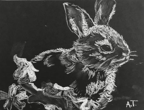 Value study of animal using white chalk on black paper by Anna Drawing On Black Paper Ideas, White Chalk On Black Paper, Chalk On Black Paper, Value Study, Black Paper Drawing, Chalk Drawings, White Chalk, Black Paper, Student Art