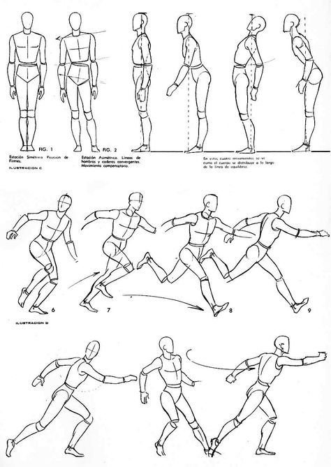 Posture Study Drawing, Drawing Moving Figures, Movement Figure Drawing Sketch, Human Movement Drawing, Body Movements Drawing, Human Movement Sketch, Running Poses Drawing Reference, How To Draw Movement, Running Forward Pose Reference