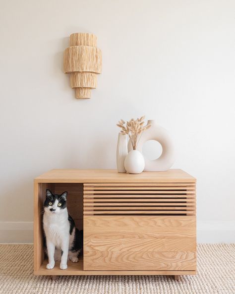 Cat Litter Box Cabinet, Litter Box Cabinet, Hiding Cat Litter Box, Diy Litter Box, Hidden Litter Boxes, Katt Grejer, Cat Wood, Box Cabinet, Interior Design Student