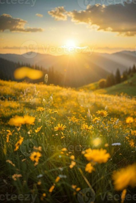 Beautiful sunrise in the mountain, Meadow landscape refreshment with sunray and golden bokeh.. AI generated Sunrise From Mountain, Golden Meadow, Meadow Landscape, Mountain Meadow, Golden Sunrise, Sunrise Mountain, Mountain Sunrise, Vector Infographic, Infographic Template