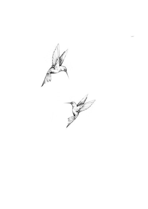 Bird Tattoo Matching, Hummingbird Couple Tattoo, Tattoos That Represent Femininity, Humming Tattoo Bird, Fine Line Magpie Tattoo, Bird Tattoo Robin, Single Bird Tattoo, Sparrow Fine Line Tattoo, Dainty Duck Tattoo