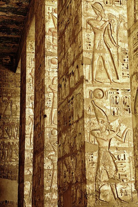 Nile Aesthetic, History Egypt, Egyptian Aesthetic, Egypt Aesthetic, Egypt Museum, Egyptian Temple, Sunday Special, Ancient Egypt Art, Egyptian Culture