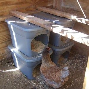 DIY Old Mailbox Nesting Boxes Easy Nesting Boxes, Rabbit Enrichment, Easy Chicken Coop, Chicken Nesting Boxes, Nest Box, Chicken Ideas, Keeping Chickens, Building A Chicken Coop, Nesting Box