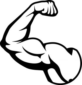 Moana Font, Muscle Logo, Gym Png, Bodybuilding Logo, خريطة ذهنية, Arm Drawing, Bicep Muscle, Body Builders, Gym Art