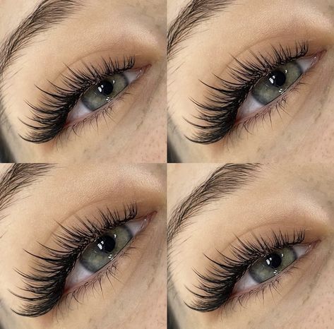 4d Lash Extensions, Siren Eye Lash Extensions, Natural Fake Eyelashes, Lashes Fake Eyelashes, Lash Designer, Lash Extensions Makeup, Lashes Extensions, Lash Extensions Styles, Cute Eye Makeup