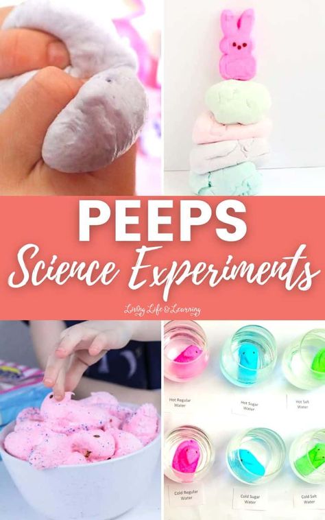 It's that time of year again when everyone is obsessed with Peeps! Why not add a little science to the fun? Check out these awesome peeps science experiments you can do at home with your kids. From rockets to rainbows, there's something for everyone! Add this list to your collection of homeschool easter activities for kids! Peep Science Experiment, Fun Science Activities For Kids, Peeps Science Experiment, Fun Science Activities, Easter Homeschool, Kids Stem Activities, Homeschool Science Curriculum, Rainbow Activities, Engineering Activities