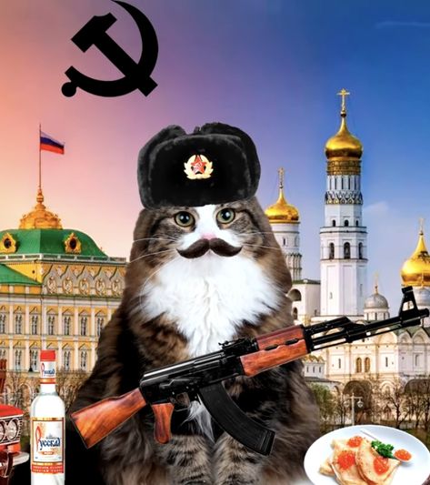 Russian Cat, Soviet Art, Cute Wallpapers Quotes, Lovely Creatures, Cat Icon, Silly Animals, Animated Drawings, Cute Memes, Cartoon Profile Pics