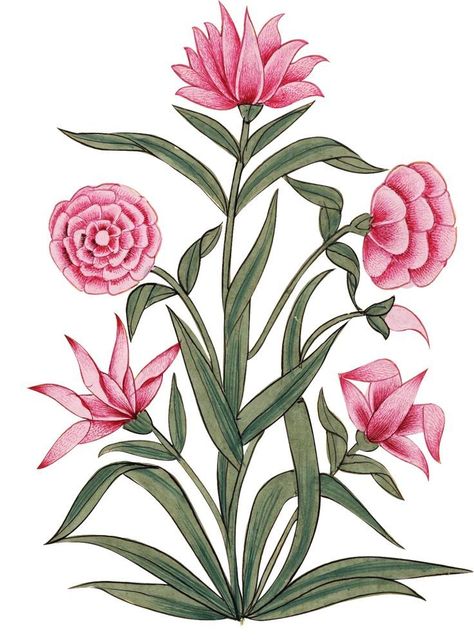 Motif Vector, Mughal Art Paintings, Folk Art Flowers, Pichwai Paintings, Flower Art Images, Motif Vintage, Botanical Painting, Floral Prints Art, Botanical Drawings