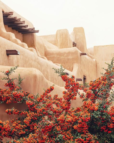 The organic, sculptural form of a Pueblo-Revival style adobe building in Santa Fe, New Mexico, with red-orange pyracantha berries in the foreground. New Mexico Aesthetic, Pueblo Revival, New Mexico Style, Adobe Home, Artfully Walls, Living On The Road, Santa Fe Style, Artist Wall, Desert Vibes