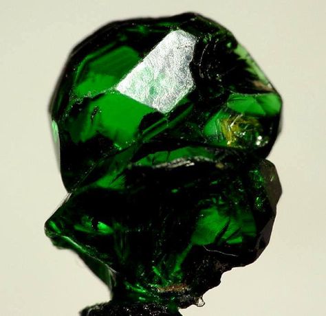 Tsavorite garnet.  Rarer than emerald, this green garnet us named after the place where it is currently mined: Tsavo national park in Kenya. A variety of grossular (calcium) garnet, its hardness (7.5 on Mohs scale) and high lustre rapidly made it popular amongst jewellery buyers. It is usually less included than emerald, and its colour can rival the best beryl can offer. Crystal Formations, Pretty Rocks, Tsavorite Garnet, Beautiful Rocks, Mineral Stone, Minerals And Gemstones, Rocks And Gems, Gems And Minerals, Crystal Gems