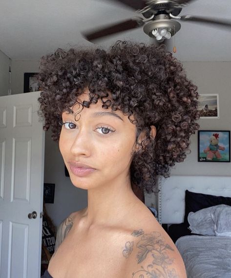 Short 3c Curly Hair, Curly Hair Pixie, Chop Hairstyles, Big Chop Hairstyles, 3c Curly Hair, Curly Cut, Cabello Afro Natural, 3c Hair, Mixed Curly Hair