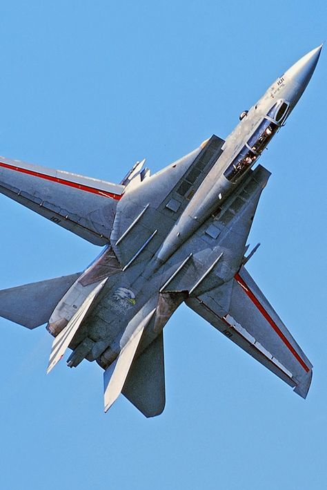 Grumman F-14 Tomcat, Tomcat F14, Japan April, Jet Fighter Pilot, Aircraft Propeller, F14 Tomcat, Us Navy Aircraft, Fly Navy, Wwii Airplane