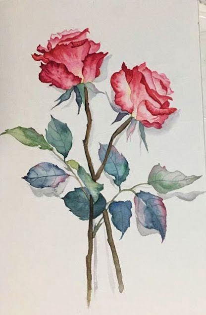 Watercolor Blog, Watercolor Art Paintings, Rose Drawing, Watercolor Flower Art, 수채화 그림, Watercolor Art Lessons, Watercolor Flowers Paintings, Flower Art Painting, Rose Art