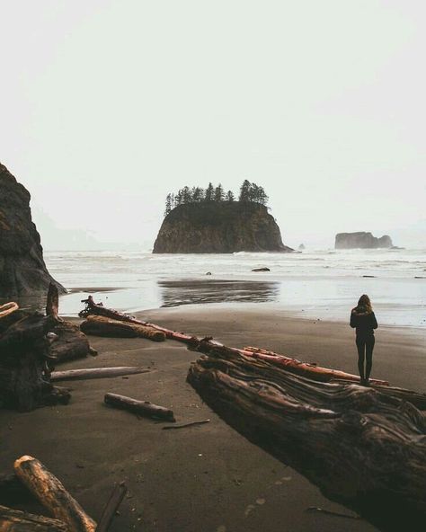 folklifestyle University Of British Columbia, Mount Rainier National Park, Sea Witch, Pacific Northwest, Land Scape, The Great Outdoors, Plein Air, Outdoors Adventure, The Ocean